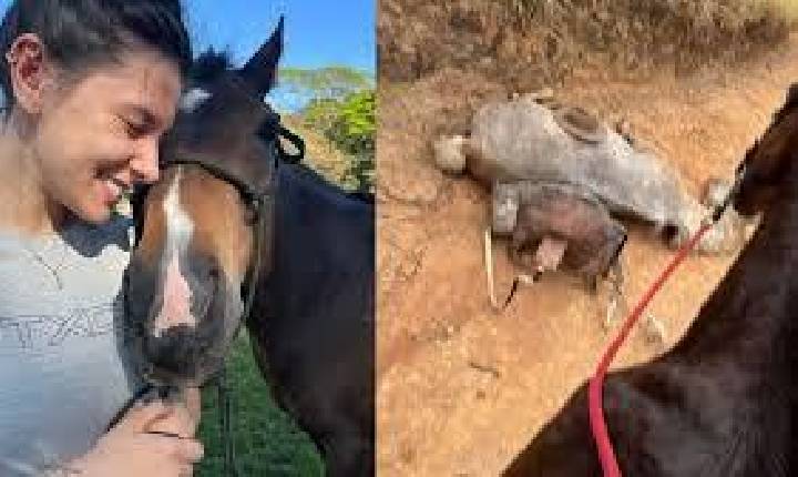 Ana Castela faz denúncia de maus-tratos a cavalo e se revolta: 'Me ajudem a deixar o covarde famoso'