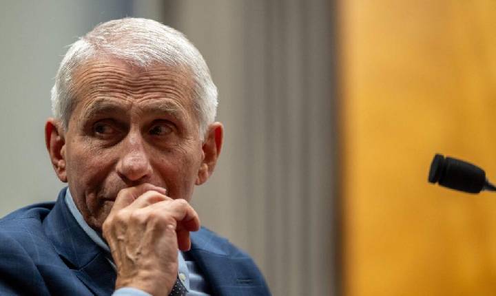 Comitê do Senado aprova responsabilização de Fauci por desacato ao Congresso