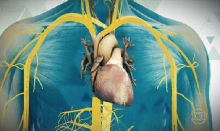 Faustão: como funciona a fila do transplante de coração no Brasil?