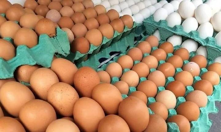 Preço do ovo de galinha tem maior alta em uma década no Brasil