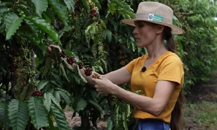 Produtoras de café de Rondônia são finalistas em concurso nacional