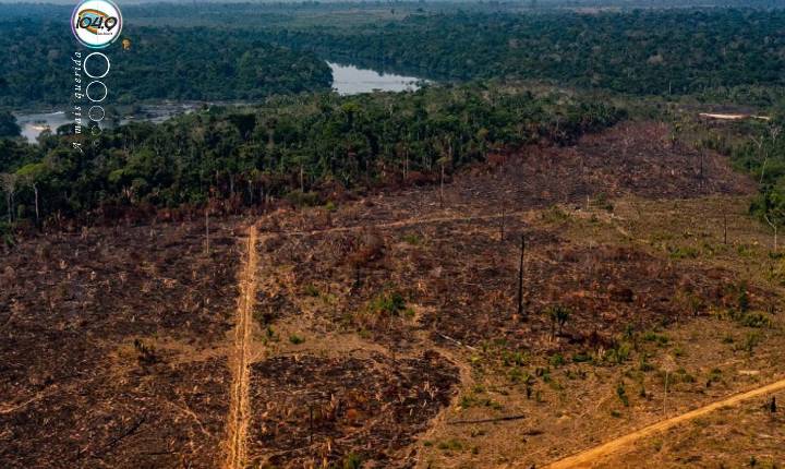 Sob Lula, degradação na Amazônia é a pior em 15 anos