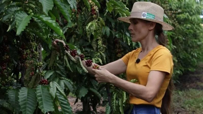 Produtoras de café de Rondônia são finalistas em concurso nacional