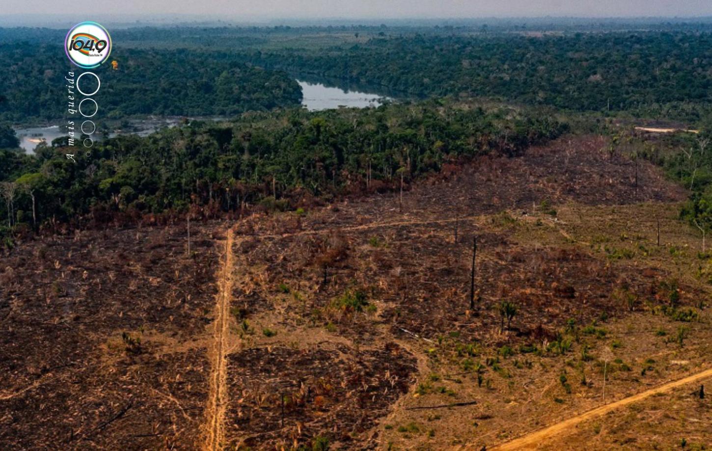 Sob Lula, degradação na Amazônia é a pior em 15 anos